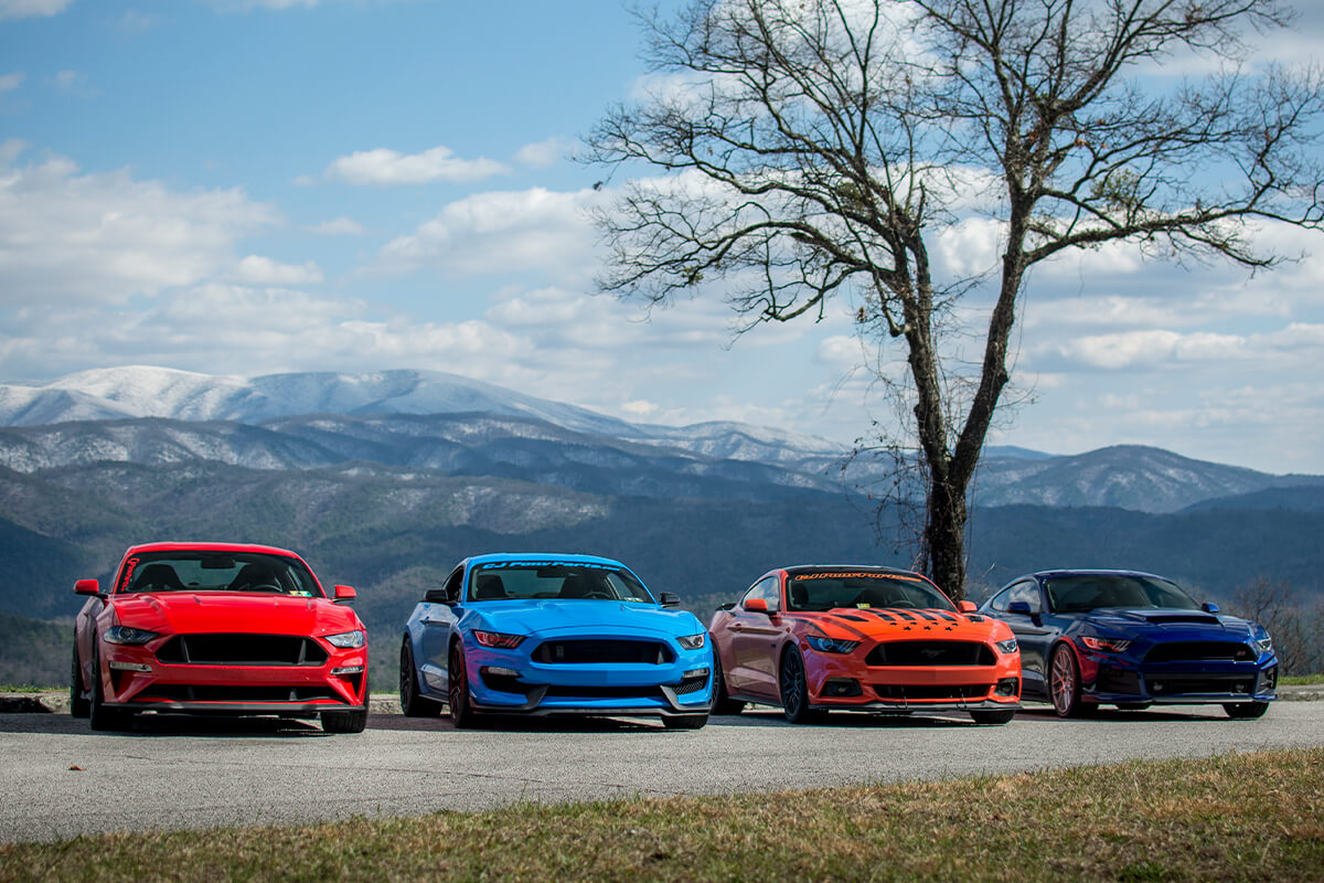 Group Of Mustangs Foothills Parkway