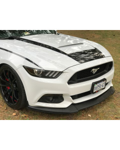 Anchor Room Combo U3 Hood Decal & Body Line Accents (2015-2017 Mustang)