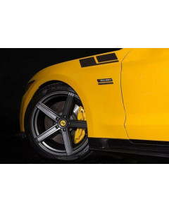 Anchor Room Upper Fender Saleen Stripes - Solid (2015-2024 Mustang)