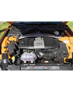 Anchor Room Build Plate Radiator Size Sublimated Plates (2018-2023 Mustang)