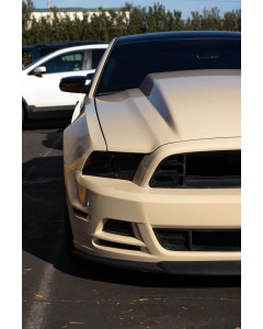 Anchor Room Headlight Lens Vinyl Tint (2010-2014 Mustang)