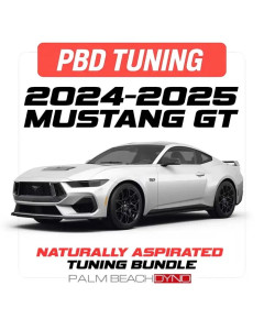 Palm Beach Dyno 24-25 Mustang GT Naturally Aspirated Custom Tune