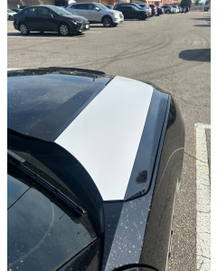 Anchor Room Hood Spear Graphics (2024+ Mustang)