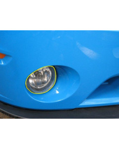 Anchor Room Paint Protection - Fog Light (2007-2014 Mustang GT500)