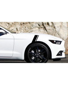 Anchor Room Fender Stripes - 4" (2010-2014 Mustang)