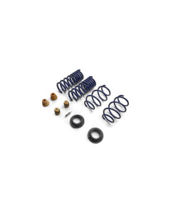 Ford Performance 15-24 Mustang Street Lowering Spring Kit