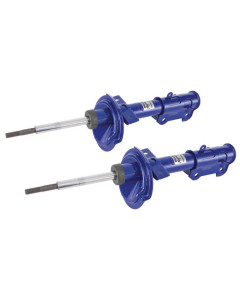 Roush 05-10 Mustang 4.6L V8 Stage 2 Front Struts