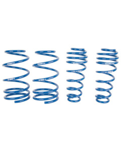 Roush 05-14 Mustang V6/GT Lowering Spring Kit