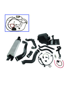 Ford Performance 2.3L Mustang EcoBoost Control Pack