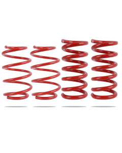 Pedders 15-23 Mustang w/o MagneRide Low Spring Kit