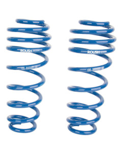 Roush 05-14 Mustang Stage 2/3 Rear Coil Springs (For Use w/ 401296)