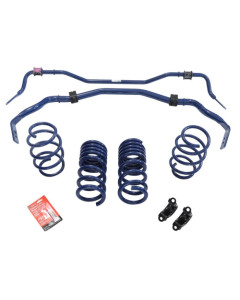 Ford Performance 2015-2017 Mustang GT350 Sway Bar Kit