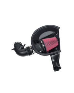 Roush 15-17 Mustang 5.0L Cold Air Kit