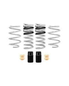 Eibach 15-17 Ford Mustang GT Coupe Drag-Launch-Kit (Set of 4 Springs)