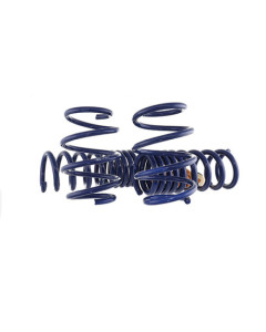 Ford Performance 24-26 Mustang GT Coupe (w/Passive Suspension) Track Lowering Spring Kit