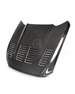 Anderson Composites 15-17 Ford Mustang (Excl. GT350/GT350R) Type-TW Double Sided Hood