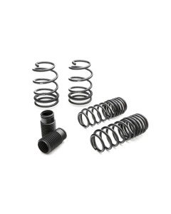 Eibach Pro-Kit for 07-08 Ford GT500 Convertible/Coupe