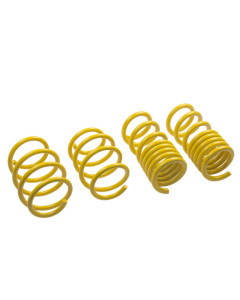 ST Lowering Springs 15-25 Mustang V8