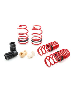 Eibach Sportline Kit for 05-10 Mustang V8