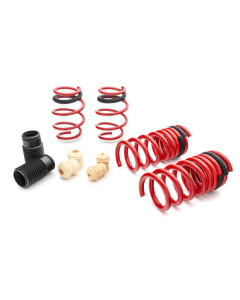 Eibach Sportline-Kit for 15-23 Mustang 2.3L EcoBoost/3.7L V6