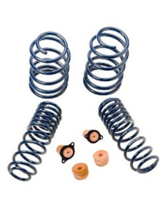 Ford Performance 13-14 BOSS 302 Lowering Springs
