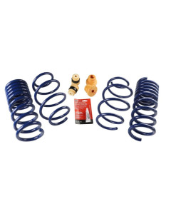 Ford Performance 15-23 Mustang (w/o MagneRide) Street Lowering Spring Kit