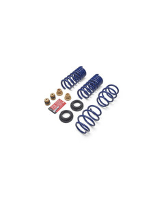 Ford Performance 24-26 Mustang 2.3L Track Lowering Spring Kit