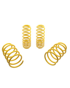 ST Sport-tech Lowering Springs 05-14 Ford Mustang 