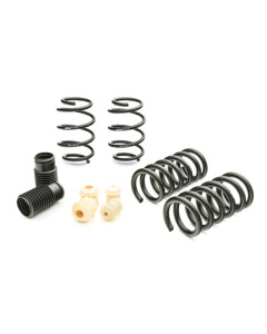 Eibach Pro-Kit for 15-26 Mustang GT 5.0L V8