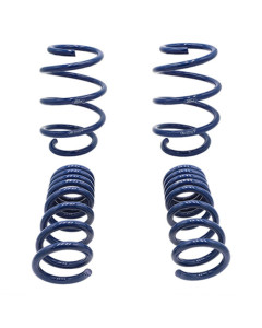 Ford Performance 2015-2017 Mustang GT350 Lowering Springs