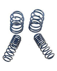 Ford Performance 05-14 Mustang GT 1.0in. Track Lowering Springs