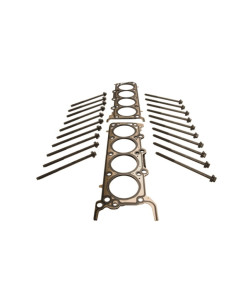 Ford Performance 05-10 Mustang 4.6L 3V Head Changing Kit