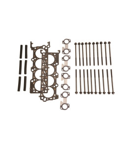 Ford Performance 96-04  4.6L 2V SOHC Head Changing Kit