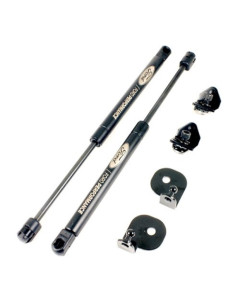 Ford Performance 15-23 Ford Mustang Hood Lift Kit w/Laser Engraving Ford Logo (Excl GT350/GT350R)