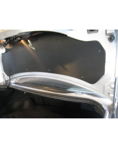 Anchor Room Trunk Beauty Panel in 1025 Carbon Fiber (1999-2004 Mustang)