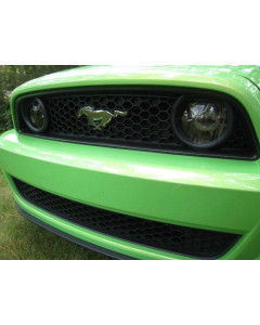 Anchor Room Fog Light Lens Vinyl Tint (2013-2014 Mustang GT)