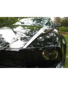 Anchor Room Hood Line Accents (2005-2009 Mustang)