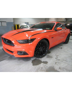 Anchor Room Body Line Accents (2015-2017 Mustang)