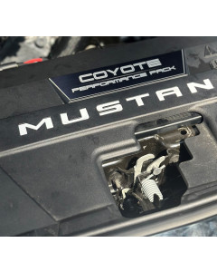 Anchor Room Radiator Shroud Vinyl Letters (2024+ Mustang)