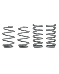 RTR Tactical Performance Lowering Springs (15-24 Mustang - GT Fastback, EcoBoost w/ MagneRide)
