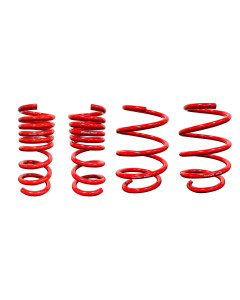 Roush 18-25 Mustang MagneRide Lowering Springs