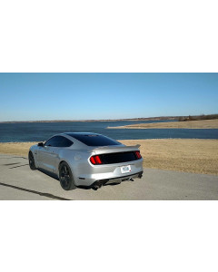 Anchor Room Saleen Style Black Out Panels (2015-2017 Mustang)