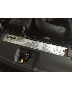 Anchor Room Build Plate Radiator Size Sublimated Plates (2015-2017 Mustang)