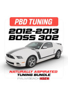 Palm Beach Dyno 12-13 Mustang Boss 302 Naturally Aspirated Custom Tune