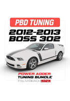 Palm Beach Dyno 12-13 Mustang Boss 302 Power Adder/Remote Custom Tune