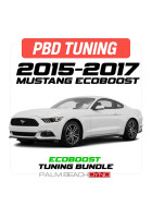 Palm Beach Dyno 15-17 Mustang EcoBoost Custom Tune