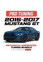 Palm Beach Dyno 15-17 Mustang GT Naturally Aspirated Custom Tune