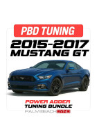 Palm Beach Dyno 15-17 Mustang GT Power Adder/Remote Custom Tune