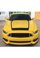 Anchor Room U3 Hood Decal (2015-2017 Mustang)