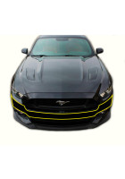 Anchor Room Paint Protection - Front Bumper (2015-2017 Mustang)